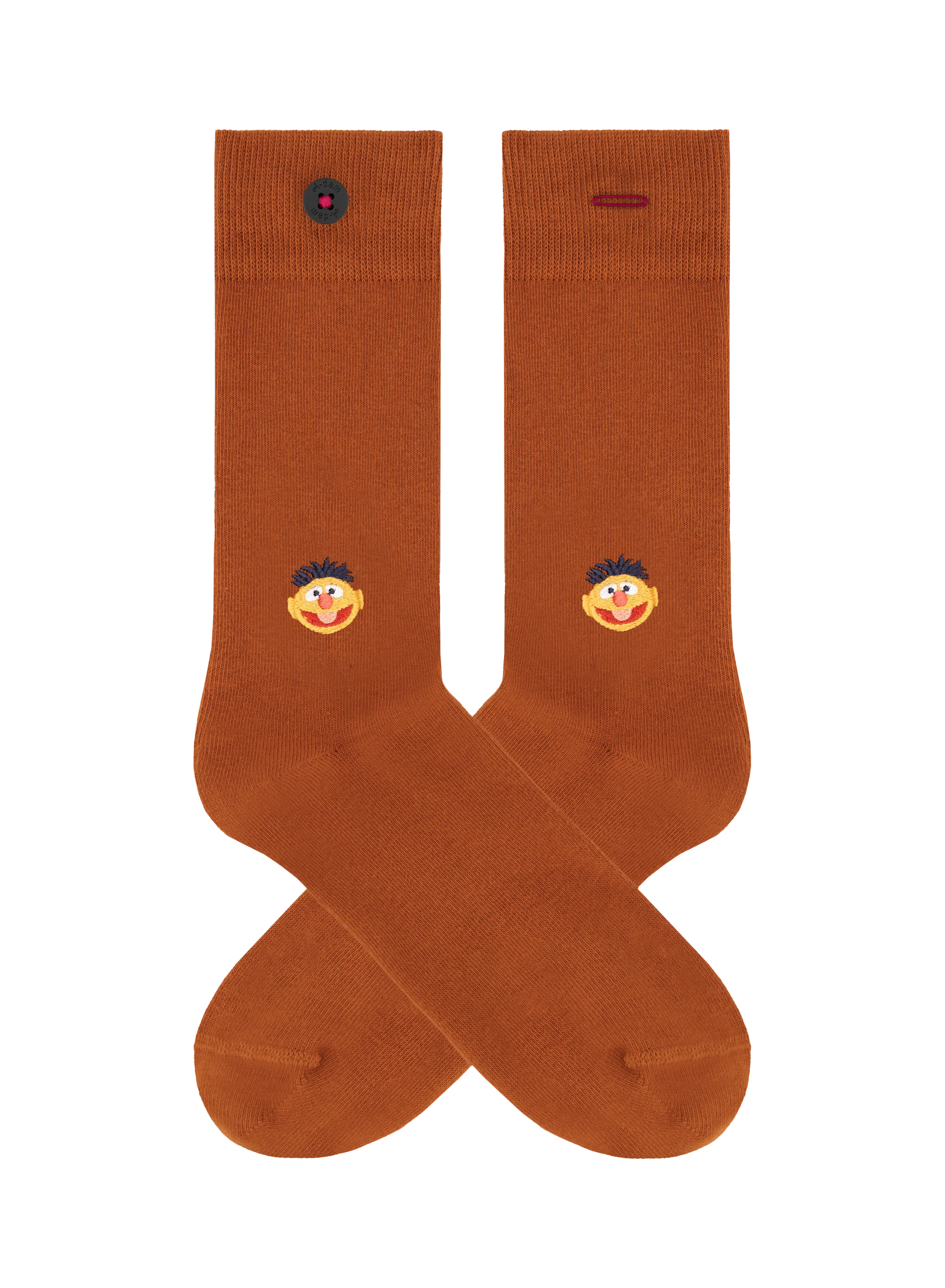 Ernie - Image 2