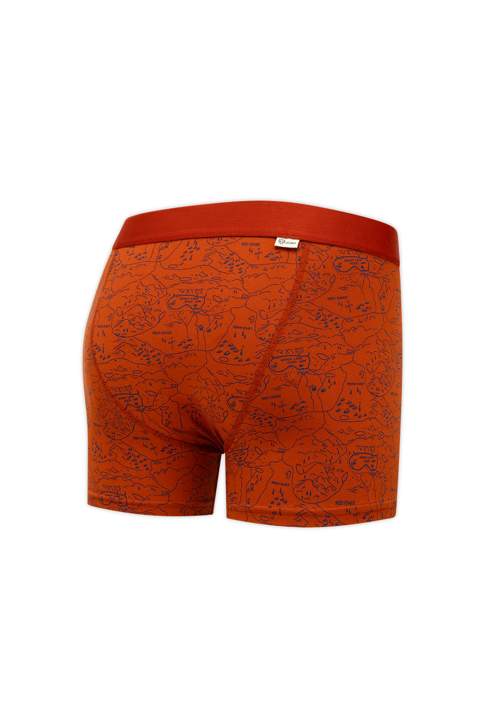 Ginger Scoutmap - Image 3