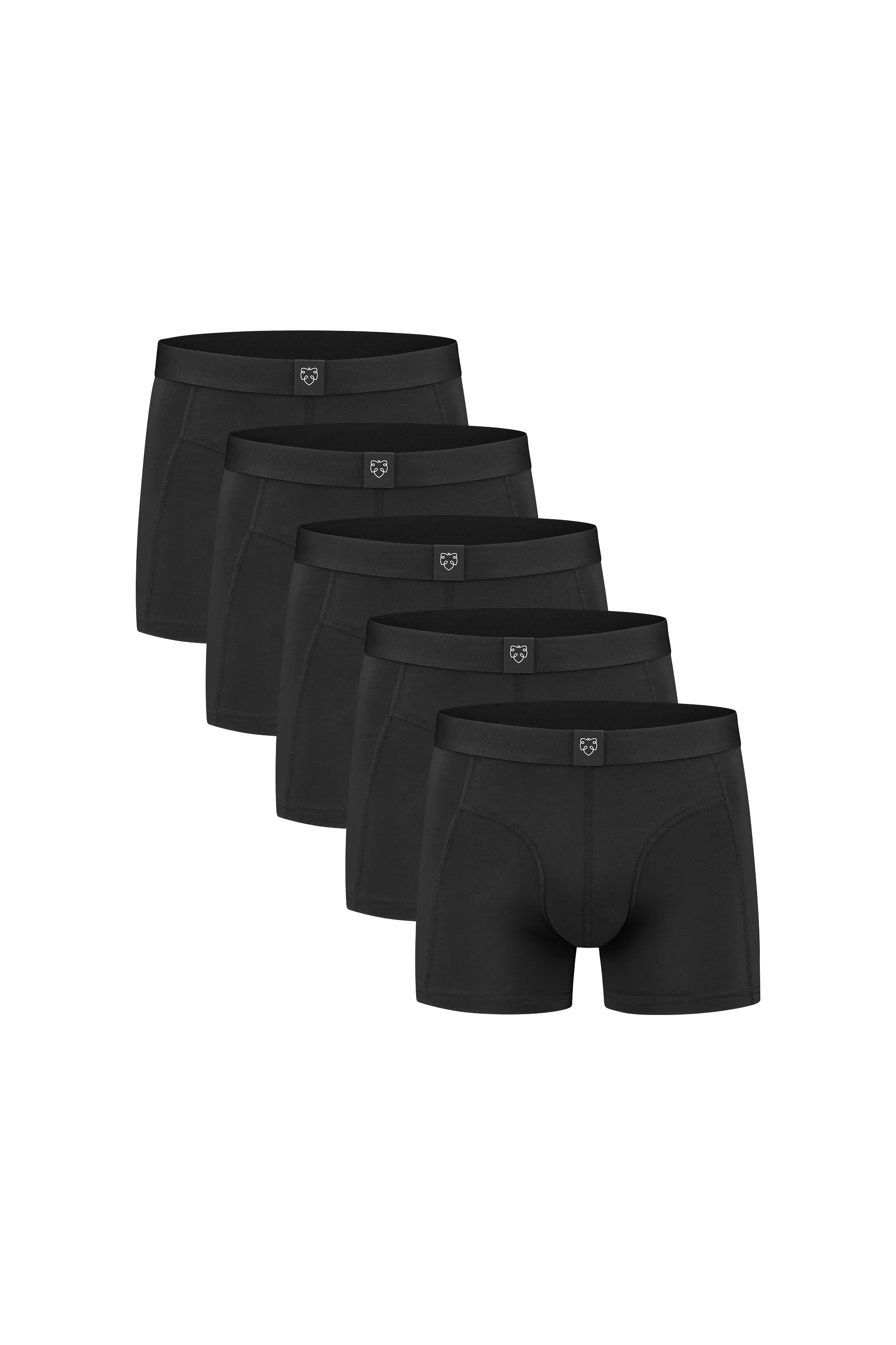 Boxer Briefs 2