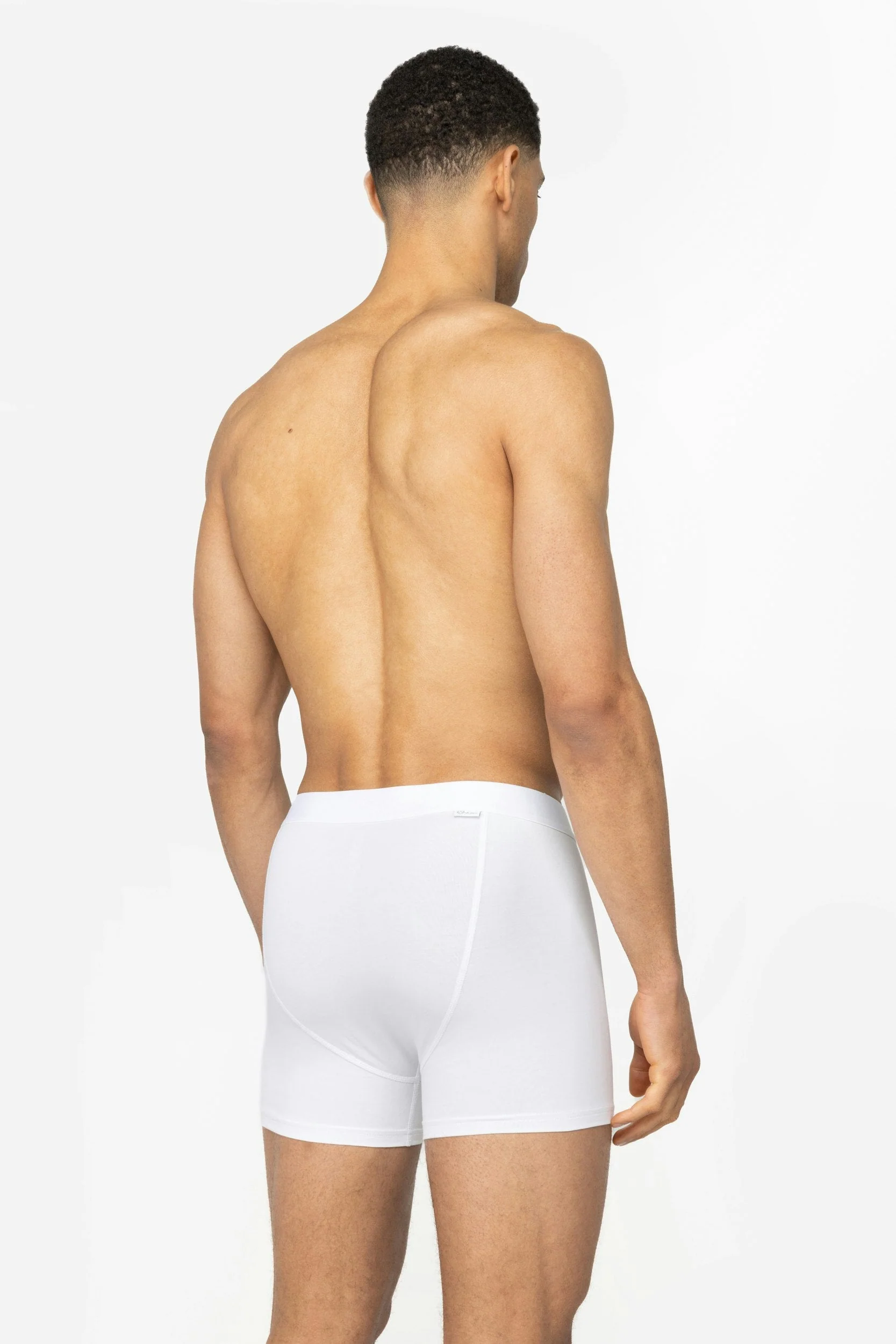 Okke - Image 4