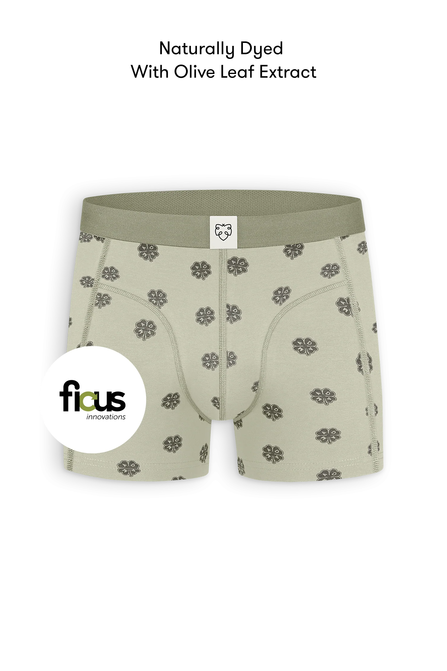 Sage Lucky Boxer