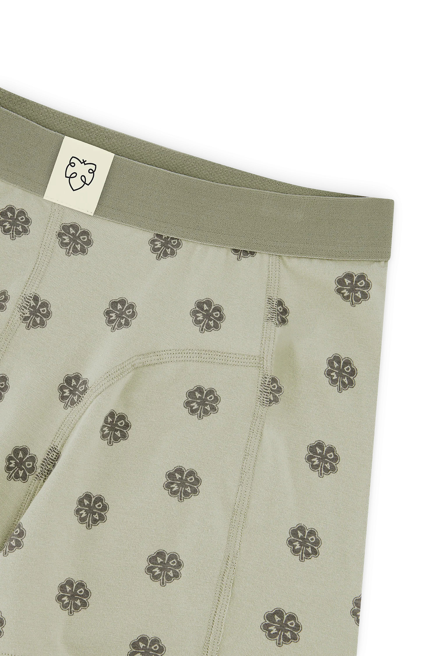 Sage Lucky Boxer - Image 4