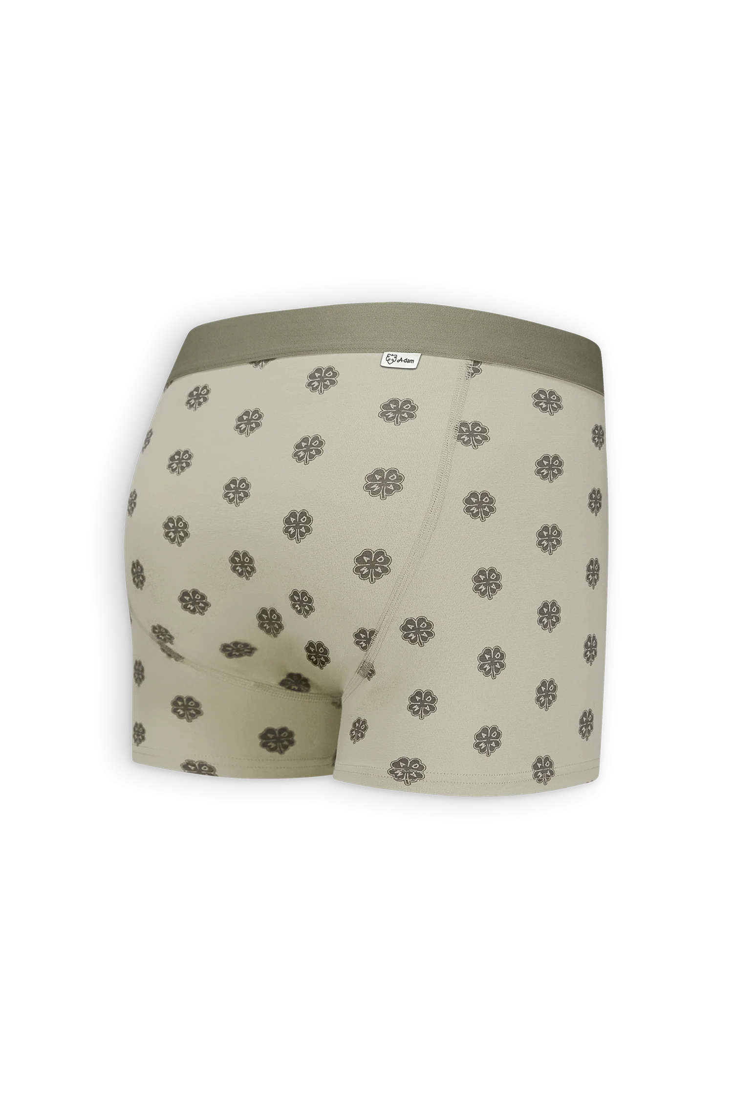 Sage Lucky Boxer - Image 5
